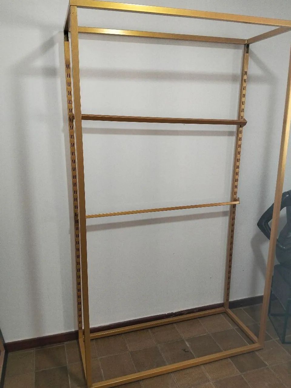 Arara dourada - Foto 4