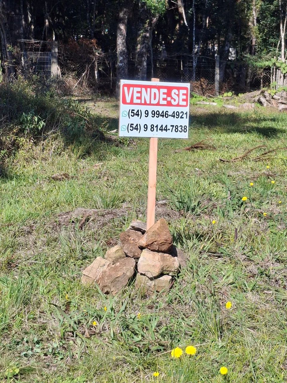 Terreno  - Foto 4