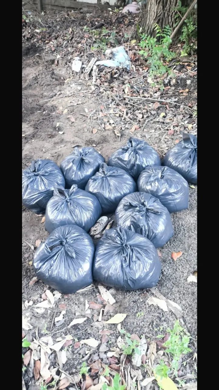 Terra preta  - Foto 3