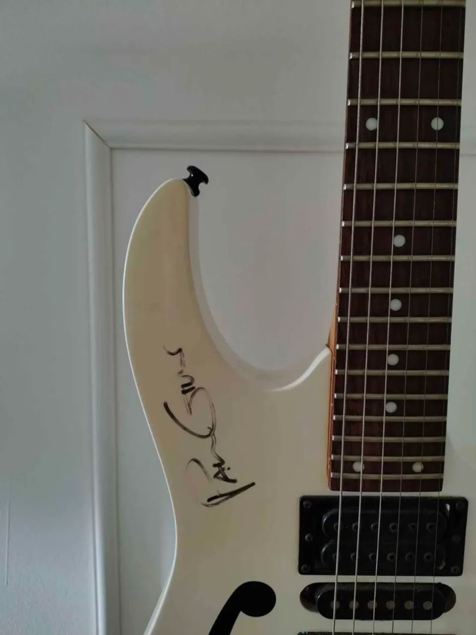 Guitarra Ibanez PGM - Foto 2