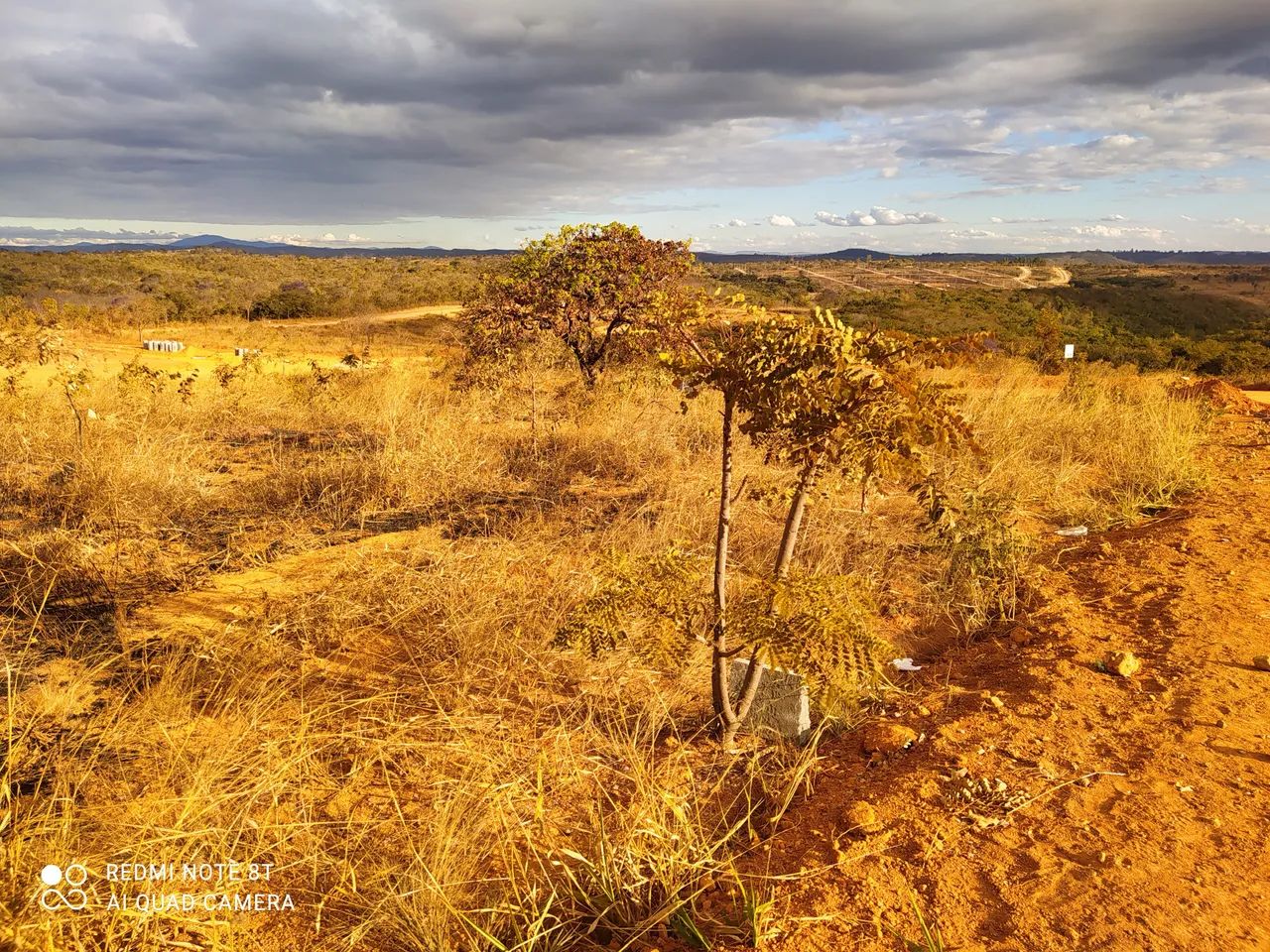 Venda  - Foto 3