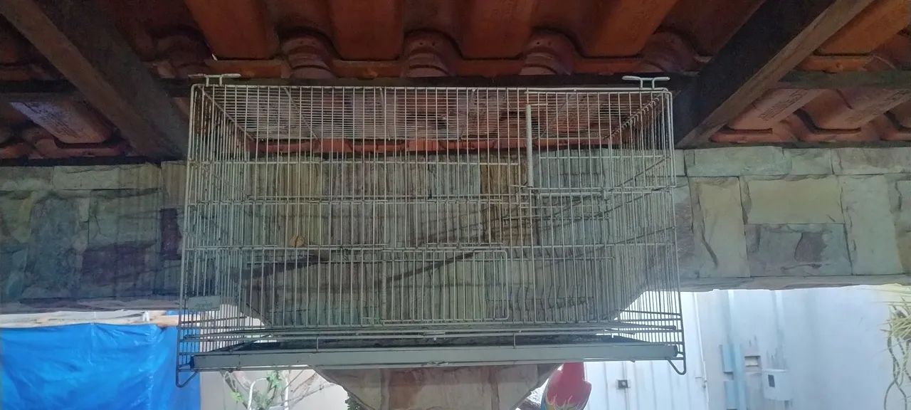 Gaiola  - Foto 3