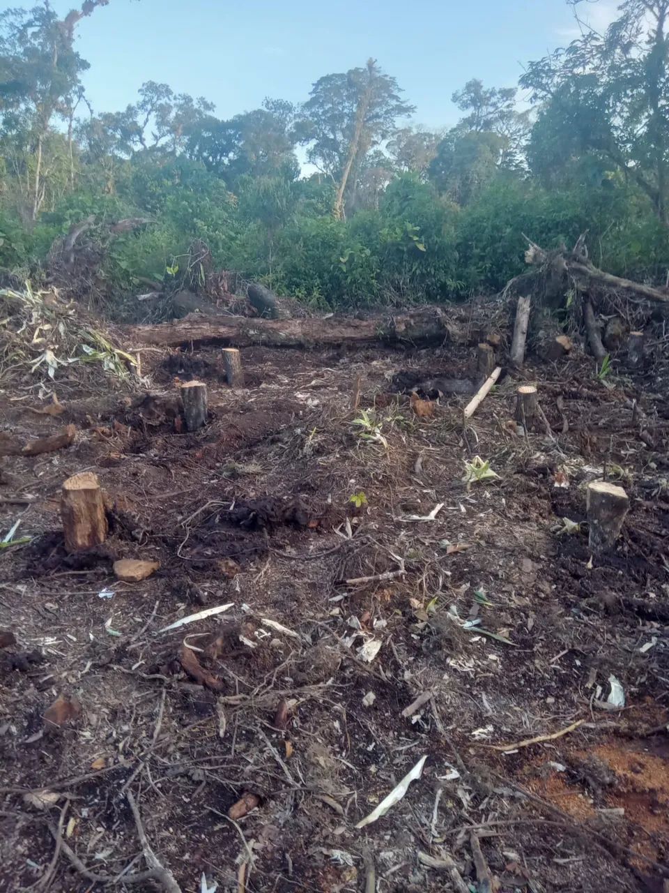 Terreno em Guaratuba  - Foto 5