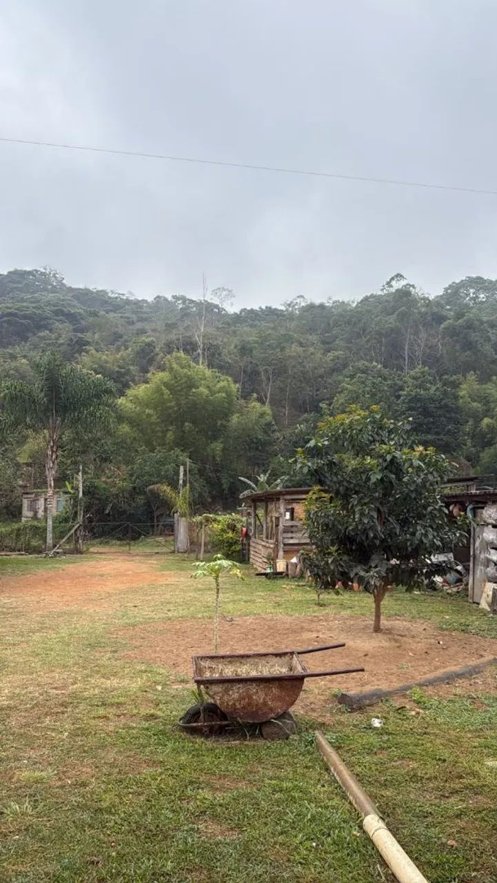 Serviço na roça  - Foto 2