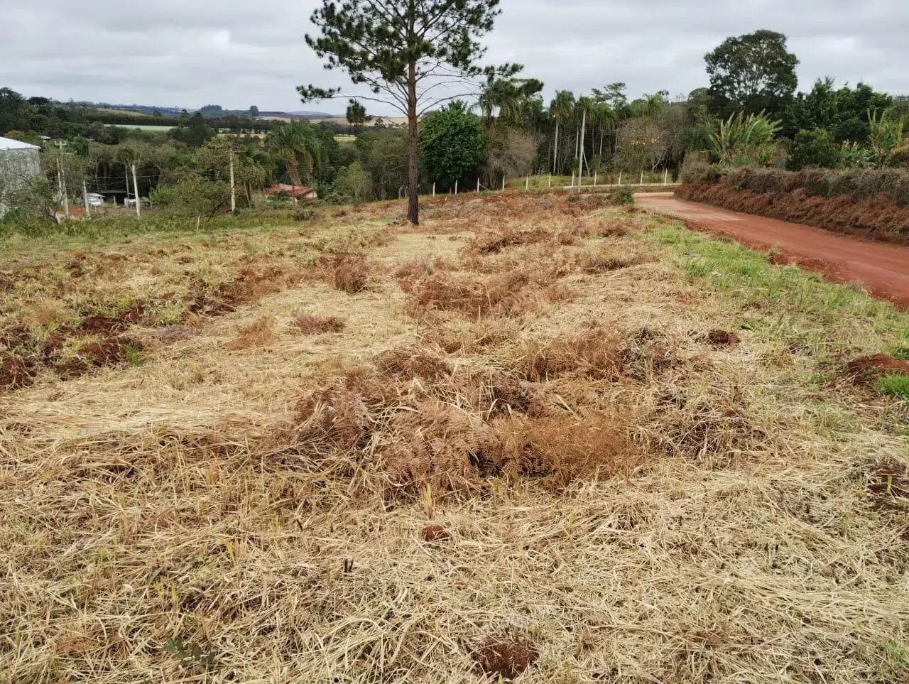 Terreno para Venda em Pilar do Sul, Chácaras Reunidas - Foto 3