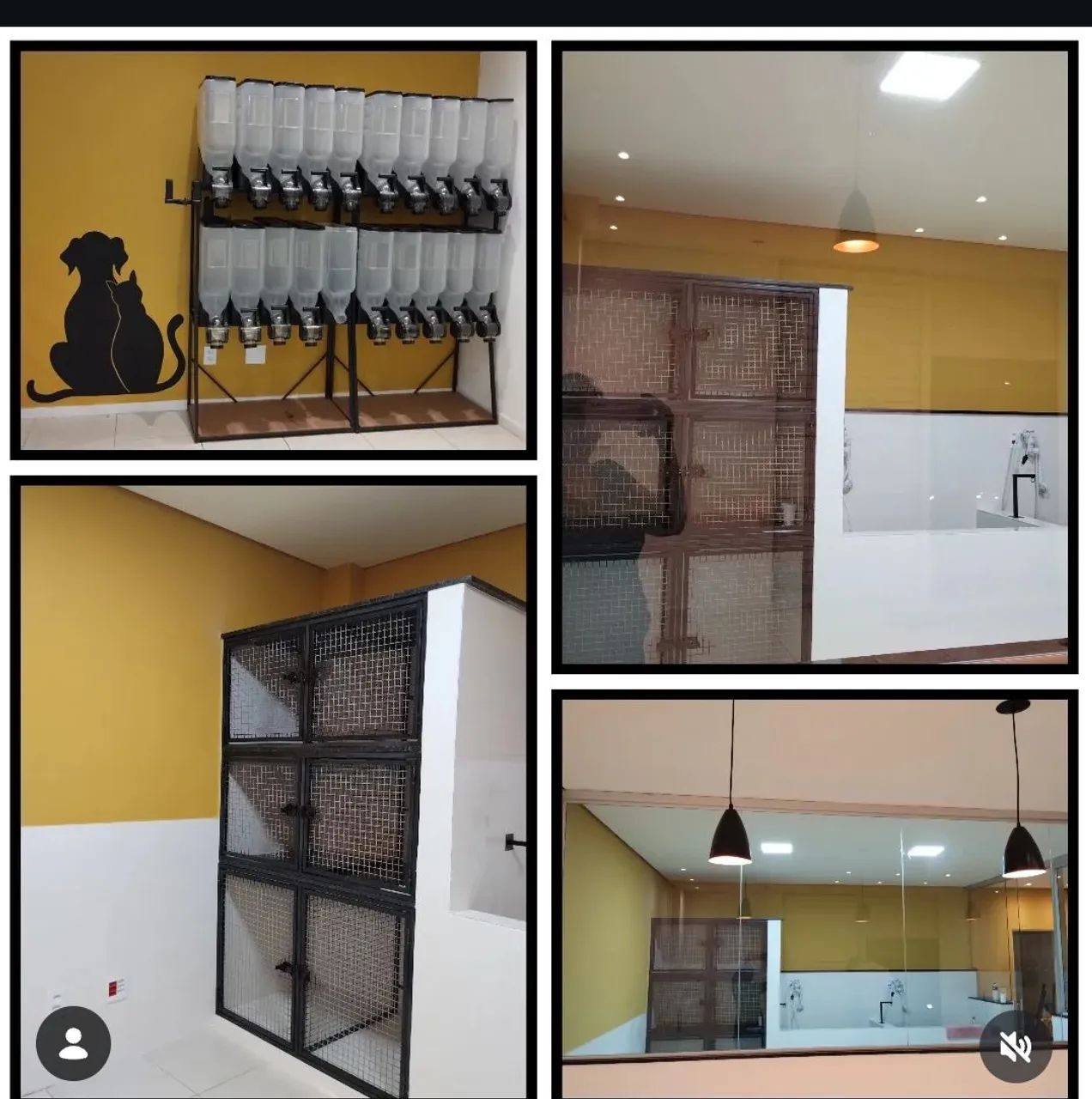 Passo o ponto pet shop  - Foto 3