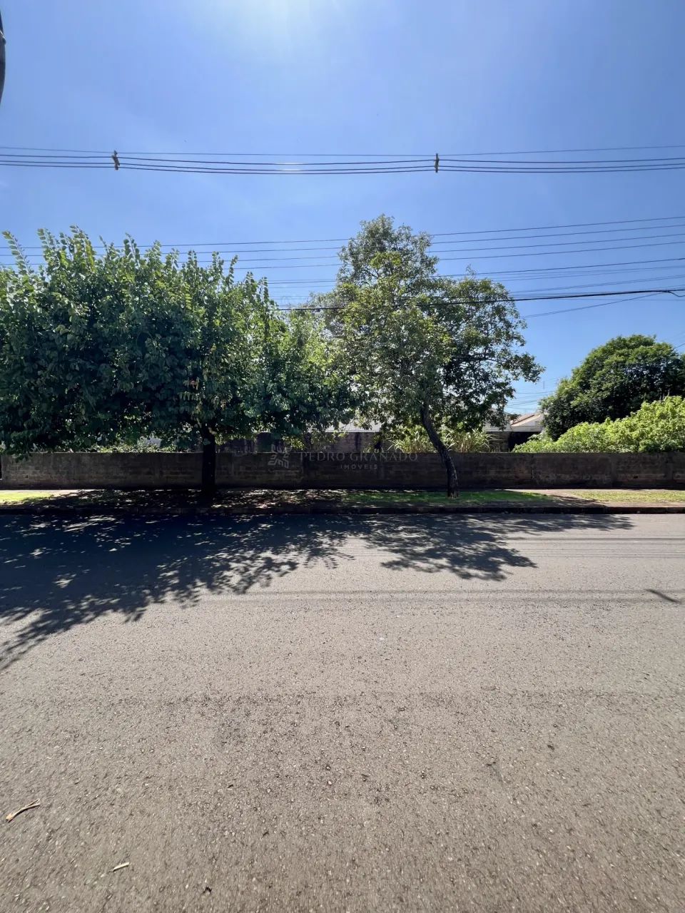 OPORTUNIDADE! Terreno de Esquina para Alugar ? Rua dos Cravos - Foto 3