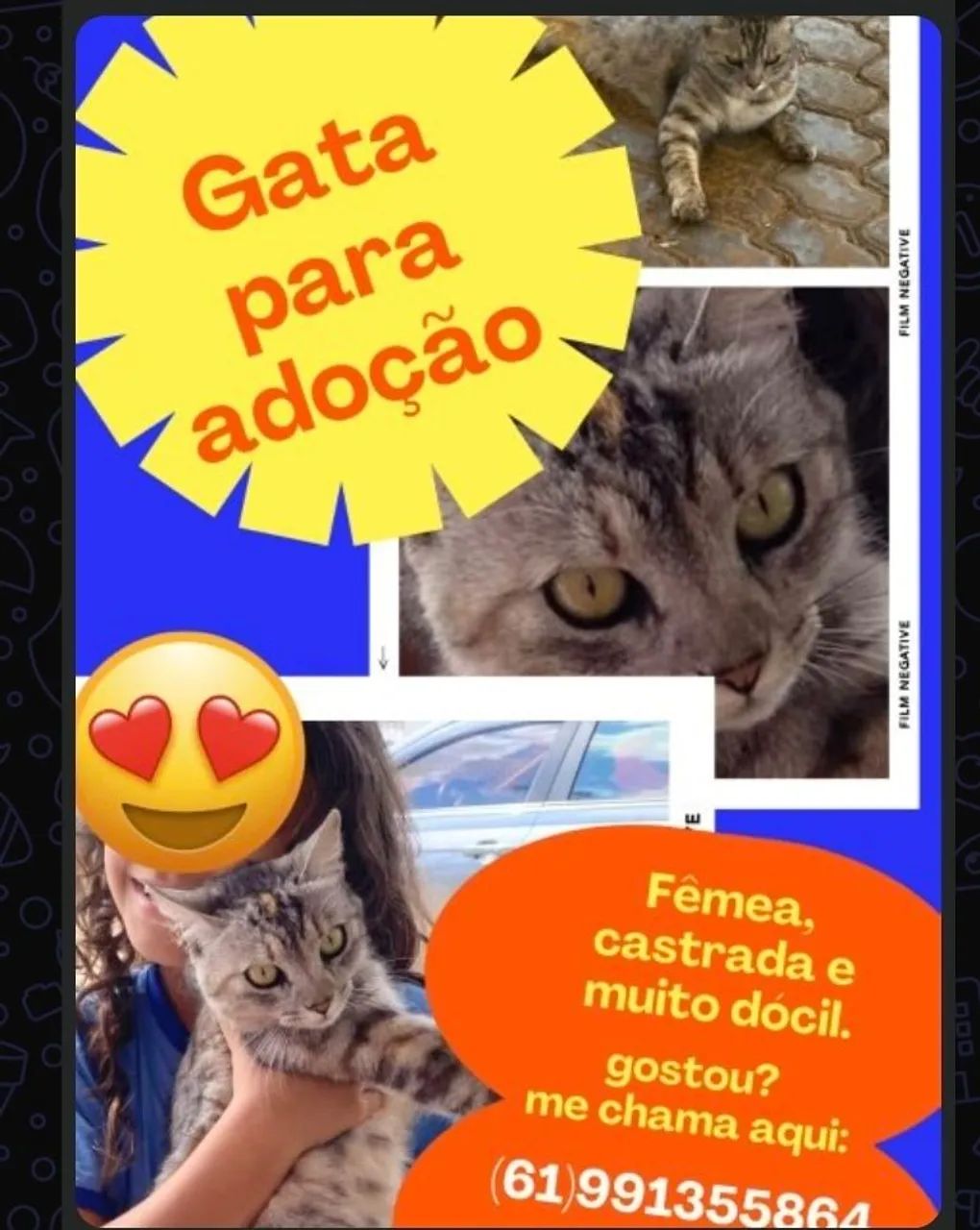 Doação 