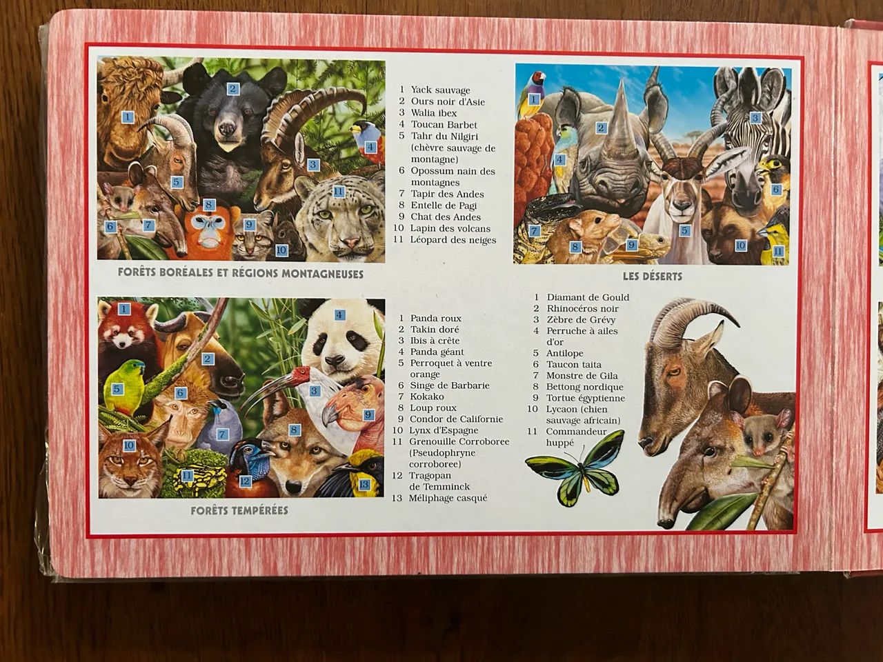 Livro quebra-cabeça em francês  - Foto 4