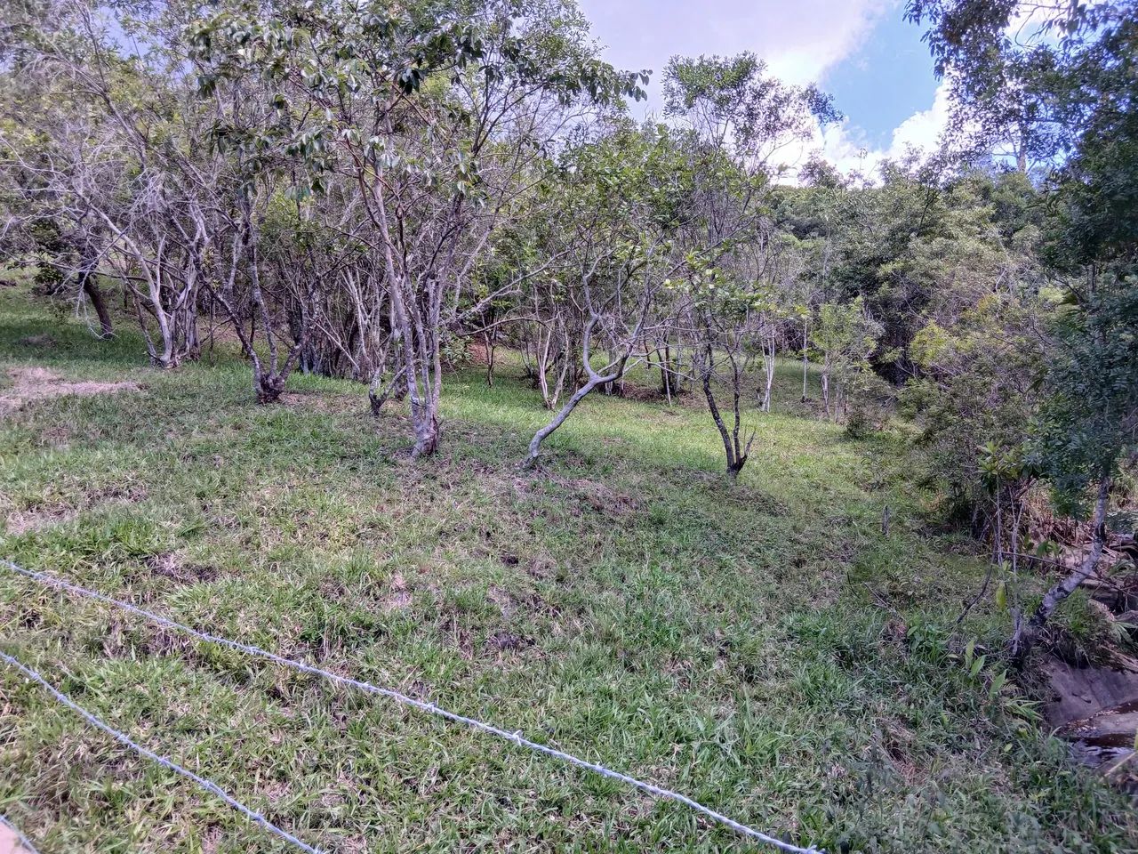 Seu sonho  - Foto 5