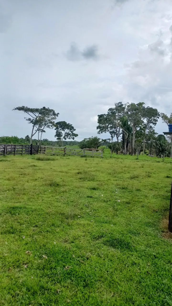 Colônia a venda! - Foto 5