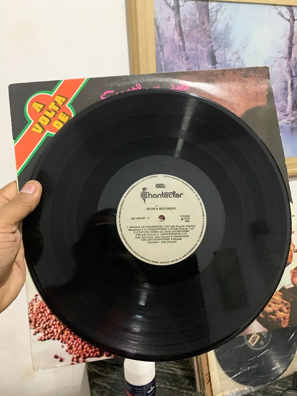 Disco de vinil Secos e Molhados - Foto 2