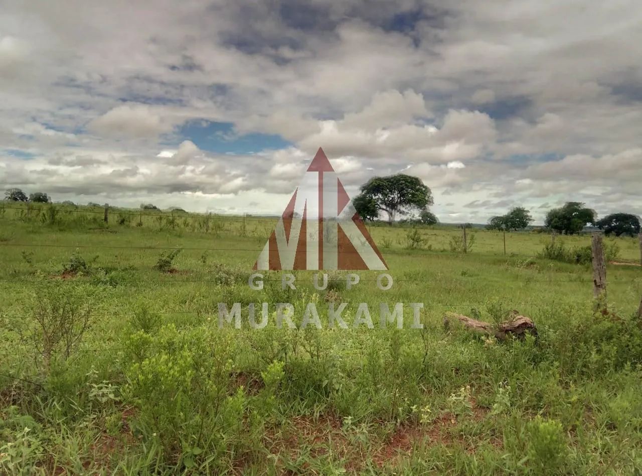 FAZENDA - AMAMBAÍ - MS - Foto 3