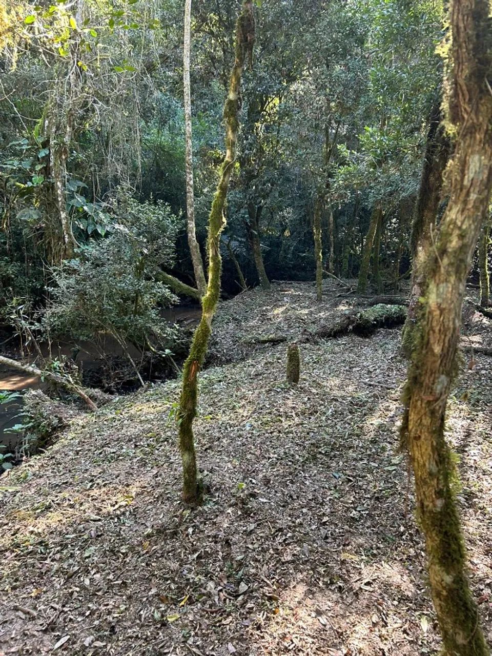 CHACARA A VENDA 5000 MT - Foto 4