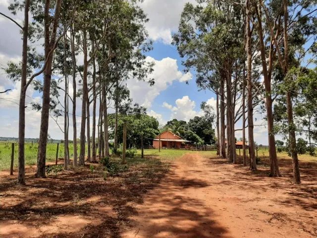 Vendo sítio de 24,799 Hectare em Bataguassu - MS - Foto 4