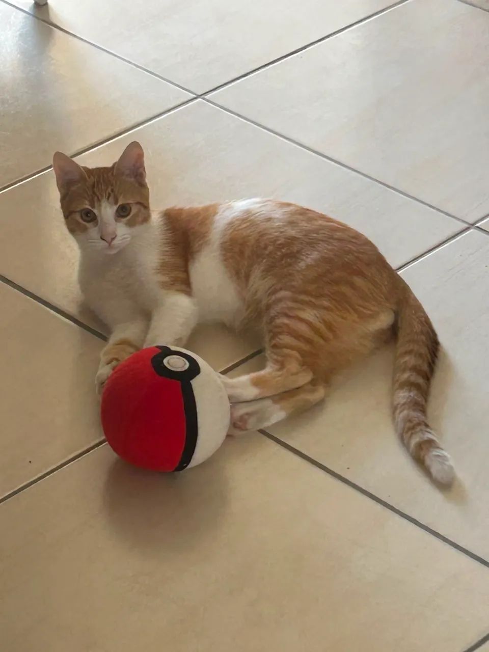 Doação 