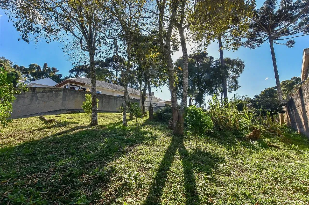 Terreno 20,25m 53,85m2 - Foto 5