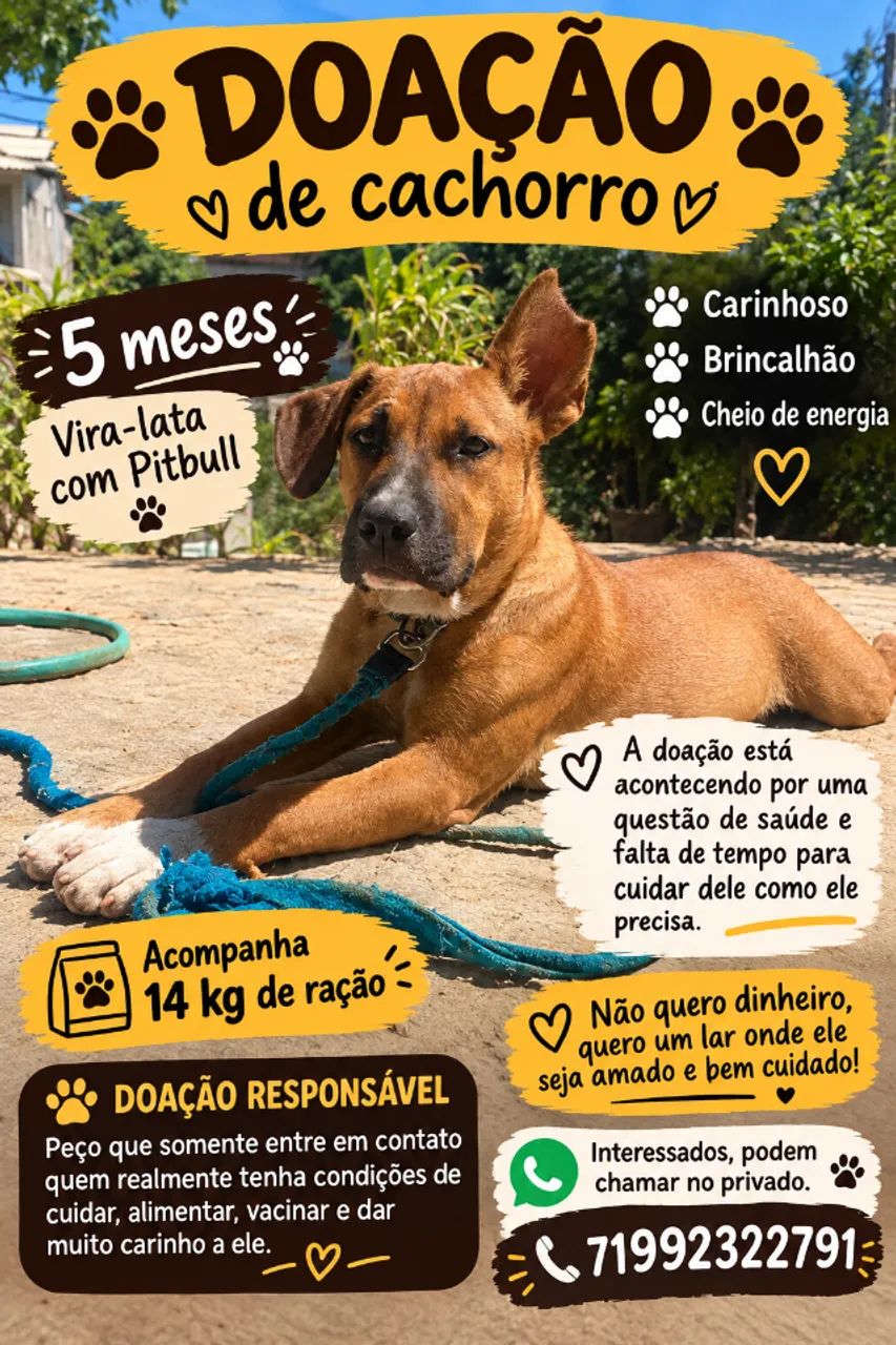 Cachorro 
