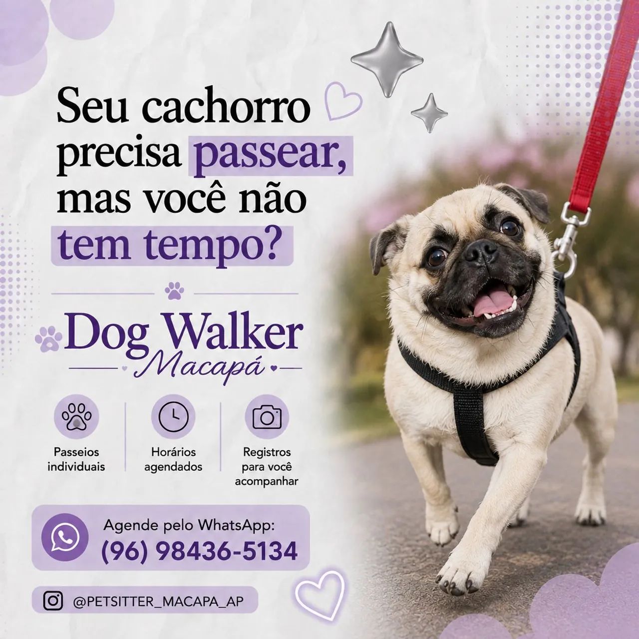 PASSEIOS MACAPÁ 