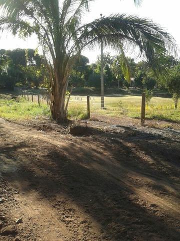 Chácara a beira do Rio Cuiabá - 1 hectare - Foto 9