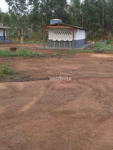 Fazenda campo belo! - Foto 5