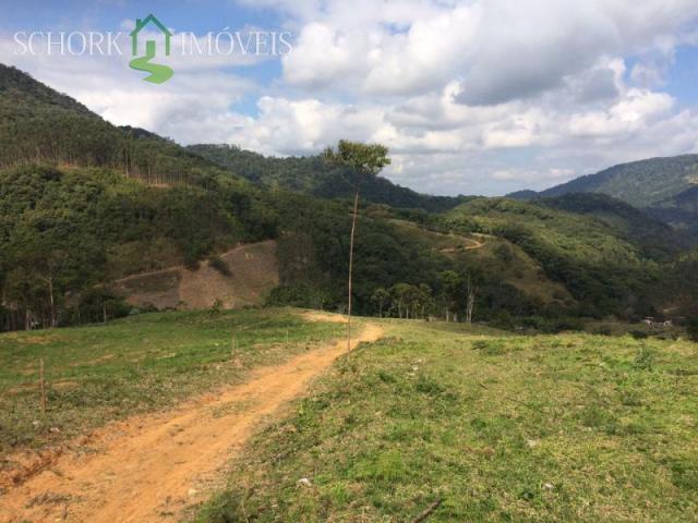 Sítio à venda em Alto cedros, Rio dos cedros cod:5975 - Foto 4