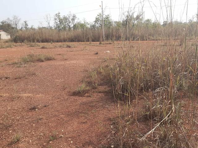 Vendo dois terrenos na Vila sucuri 11×30 cada - Foto 8