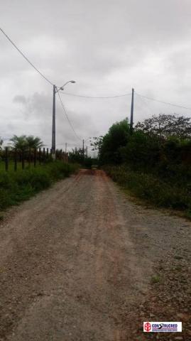 Área industrial com 3.000 m² - Foto 19