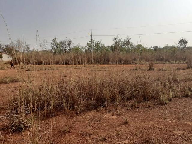 Vendo dois terrenos na Vila sucuri 11×30 cada