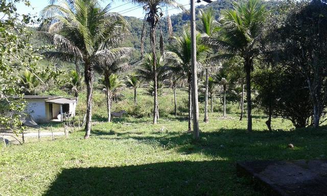 Vendo fazenda com 32 alqueres - Foto 13
