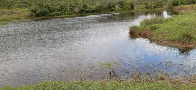 Vende-se excelente propriedade em Simão Dias - Foto 7