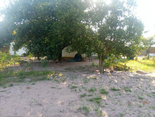 Granja - Foto 6