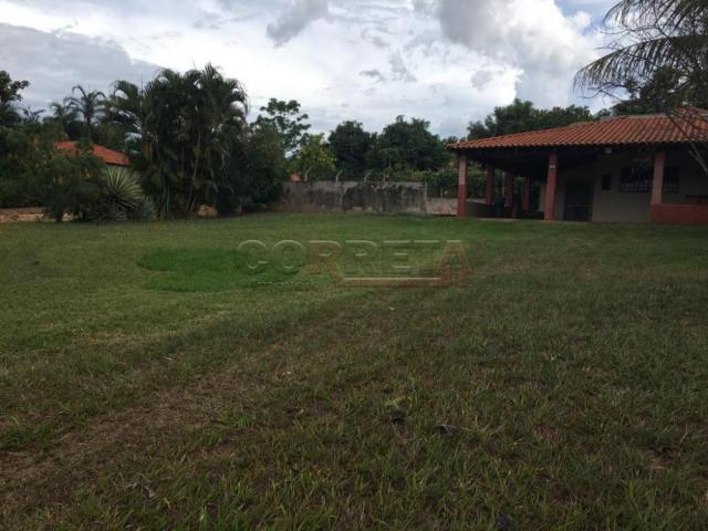 Sítio à venda em Engenheiro taveira, Aracatuba cod:V72161 - Foto 11