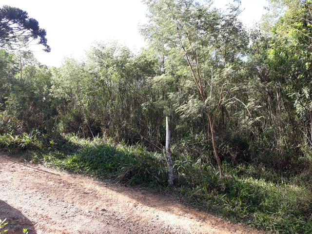 TORRANDO !!! LINDA CHÁCARA de 2.500m2° EM BOCAIUVA - Foto 19