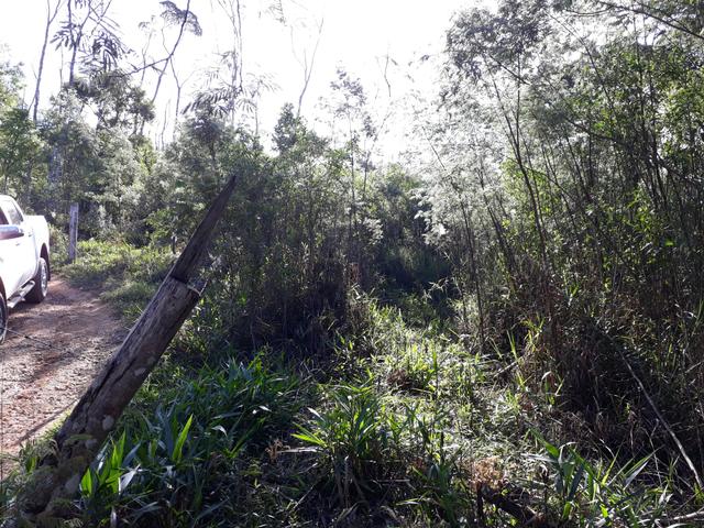 TORRANDO !!! LINDA CHÁCARA de 2.500m2° EM BOCAIUVA - Foto 8