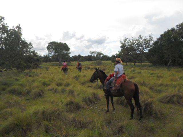 Fazenda na região do abobral,pra venda e arrendamento.2,800 ha - Foto 18