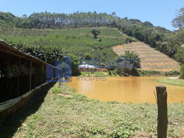 JG. Sítio de 234 mil m² com casa de 3 quartos com suíte em Marechal Floriano! - Foto 15