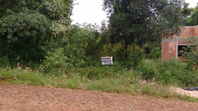 Terreno na pinheiro machado- Nonoai RS
