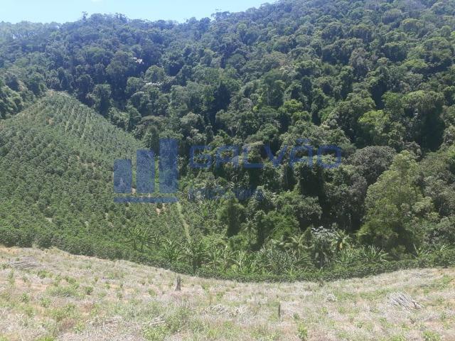 JG. Sítio de 234 mil m² com casa de 3 quartos com suíte em Marechal Floriano! - Foto 18