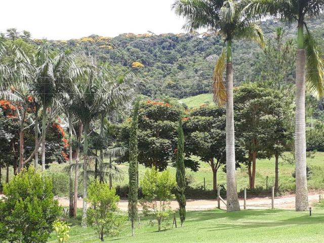 Linda chácara 3.000² a 7 km do trevo de Fazenda do Estado e 15km de Pedra Azul D.M.!! - Foto 14