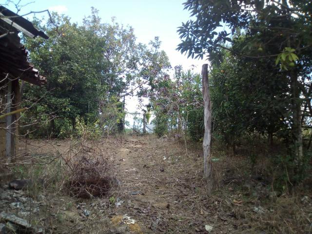 Vende- se - Foto 3