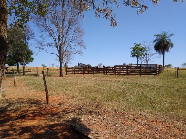 Fazenda localizada no Bezerra - Formosa/GO