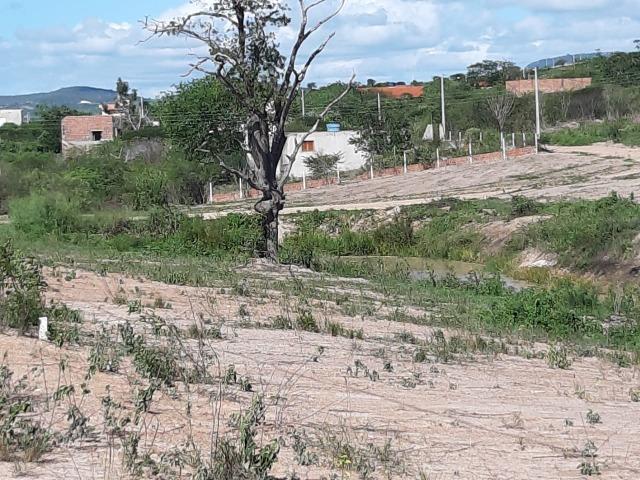 Gravatá - 1.000 m² - Na Beira da lagoa - É Um Sonho! - Foto 11