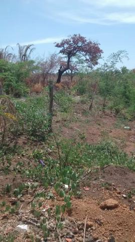 Venda de Lotes - Foto 3