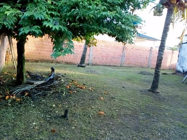 Casa - Foto 13