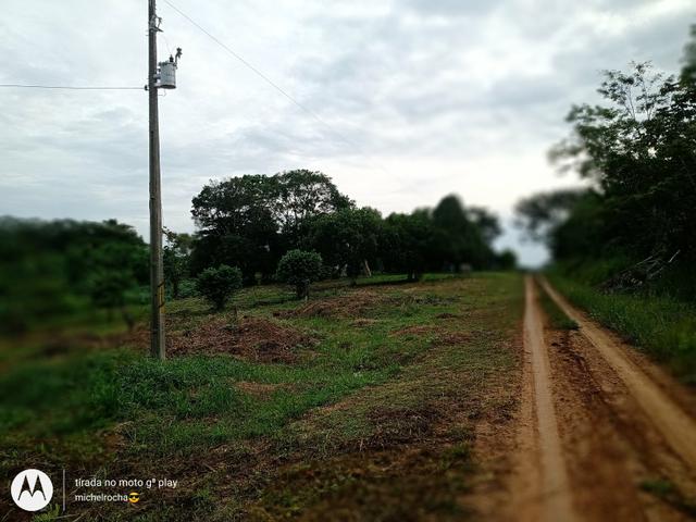 Chacara - Foto 11