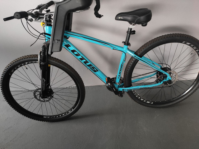 Bicicleta lótus aro 29