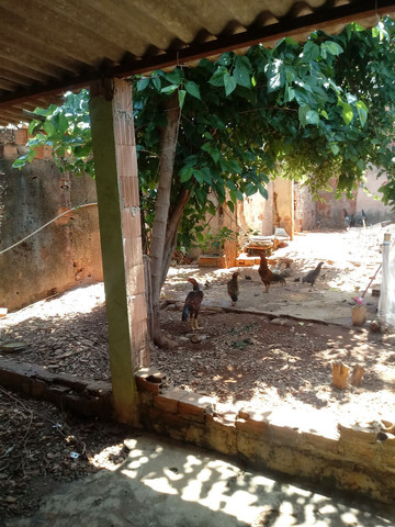 Vendo ou troco Casa 3/4 - Foto 4