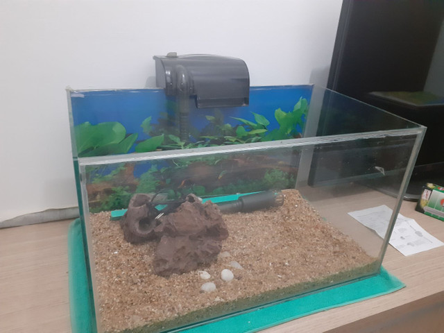 Aquário 70 litros