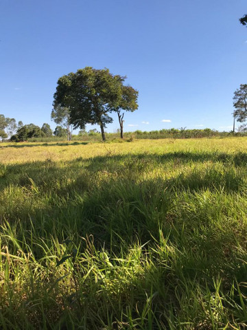 R$ 29.000 Chácaras Em Piracanjuba - Foto 5
